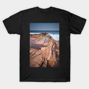 Arran spines T-Shirt